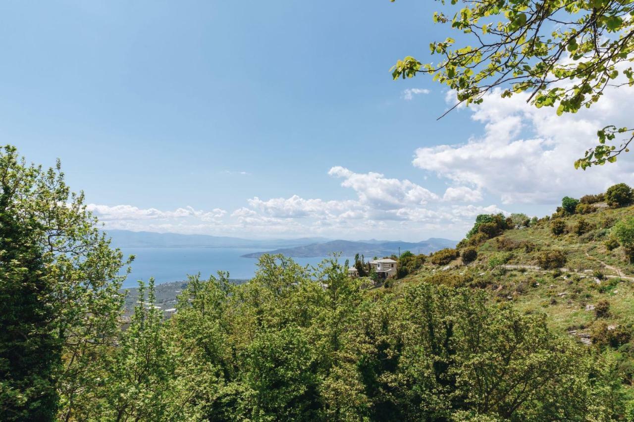 Pelion Homes アギオス・ゲルギオス・ニリアス エクステリア 写真